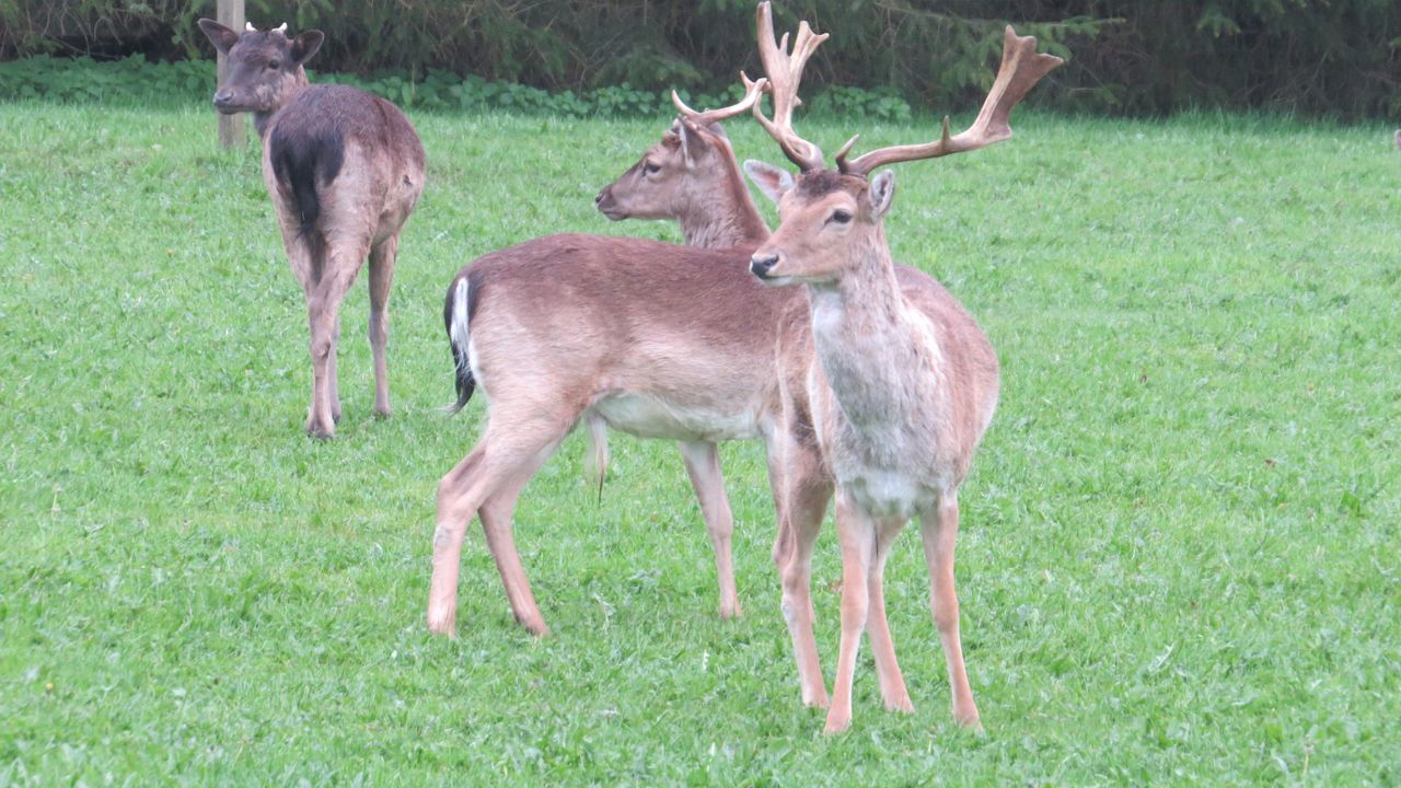 image 03