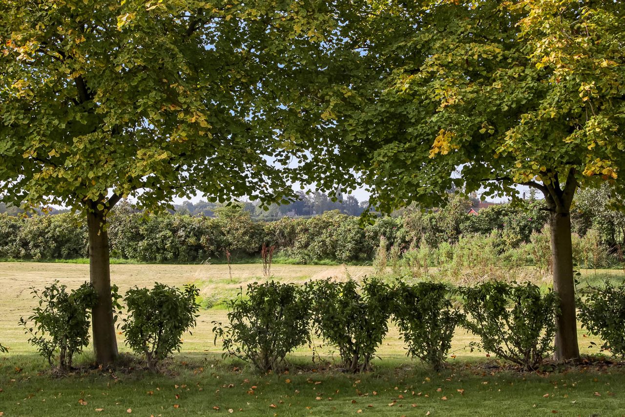 image 02